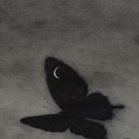 Moth. |Tsukikage