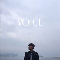 V O I C E