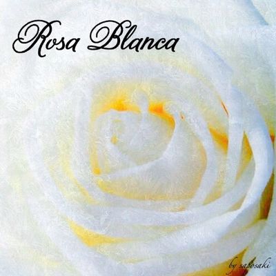Rosa Blanca นิยาย Girl Love Party Room