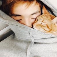 ต้นไม้ของสายรุ้ง