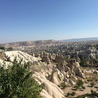 เป็นแม่มดอยู่ดีๆไหงมีฮาเร็มได้ล่ะฟระ?!