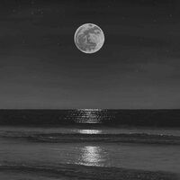 เกิดใหม่ทั้งทีจีบนางร้ายนี่หละ แต่เอะ นางร้ายจะน่ารักไปไหมคะ!?[yuri] 