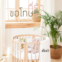 ขอโทษที่รัก (มี E-book)