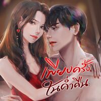 เพียงครั้งในค่ำคืน ( มี E-book )​