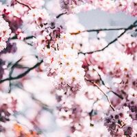 แค้นรักบุพเพ