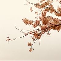 [MDZS] -ยามตะวันหม่นแสง-