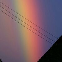 y/n x sundrop&moonman💐🌸