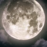 [MDZS] -จันทราเคียงตะวัน-