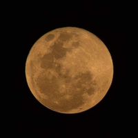 รวมเรื่องสั้นที่ลงในทวิต