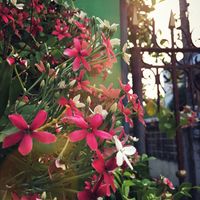 [MDZS] IF : Family[AU]