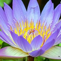 คลังฟิคปรมาจารย์ by ด๋อย