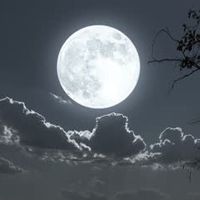 [MDZS,XC]Honey tea, mooncake, and that man (ซีเฉิง)