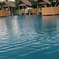 Review Bubble in the forest