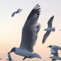 รีวิว สถานตากอากาศบางปู