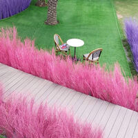 มุมห้ามพลาด Memory house