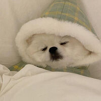 -เธรด ผิวขาวแบบธรรมชาติ🤍🎀-