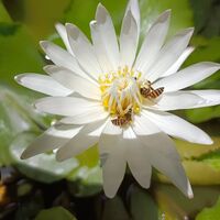 ทะลุมิติมาร่ำรวยในยุค80