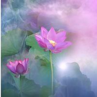 เส้นทางโชคชะตา #ซีเฉิง