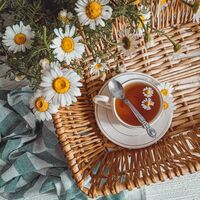 Sf/OS : Identity v [รวมงานเขียนแฟนฟิคชั่น]