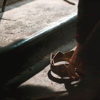 House of the Dragon x oc