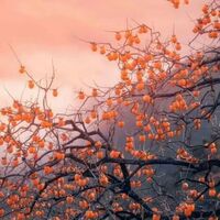 เมื่อข้าคือนางร้ายผู้ใสซื่อ