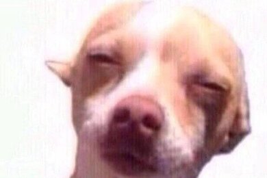 นิยายวาย เมะชนเมะ เคะแมน เคะไม่สาว 