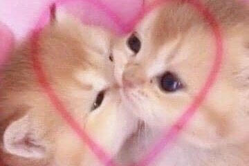 ที่สุดของโน่รึน