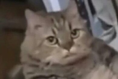 เคะออกหลัวเมะออกสาว เมะยัน เมะซึน pwp