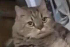 เคะออกหลัวเมะออกสาว เมะยัน เมะซึน pwp