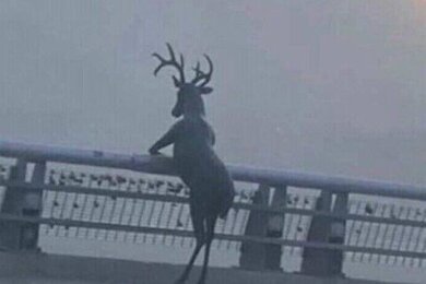 คลังงานเขียนของยัยสำหรับมิถุนา ♡