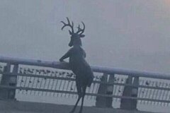 คลังงานเขียนของยัยสำหรับมิถุนา ♡