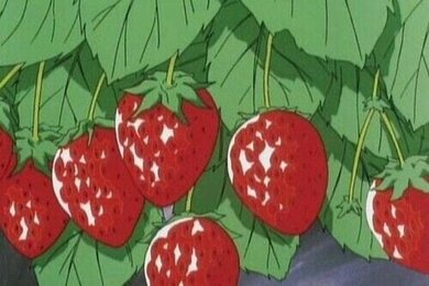 💖🫶🏻นายเอกน่ารักสวยงามล่มเมือง✨✨