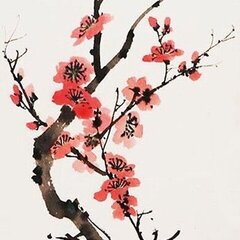 จีนพีเรียด