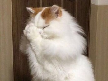 นิยายวายแจกพร