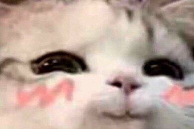 รวมฟิคNCT 