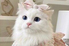 จักรวาลหอมใจ