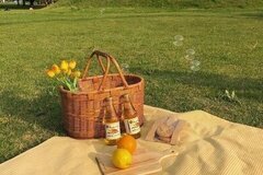   ✿.☁️ อาณาจักรภูเศวตร 🌷𓈒 *           