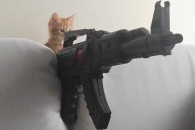 บอส มาเฟีย🔫