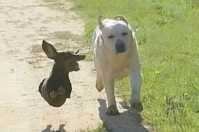 𐬹 ੈ &hearts; ✴︎ 🏩 ฟิคที่จบแล้ว!  𓊪̟ ⁑ 𓈒 🗝📓