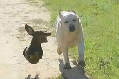 𐬹 ੈ &hearts; ✴︎ 🏩 ฟิคที่จบแล้ว!  𓊪̟ ⁑ 𓈒 🗝📓