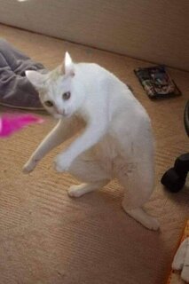 วาร์ป🕳️