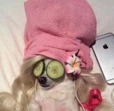 นิยายวายจีนโบราณ (&acute;･&omega;･`)