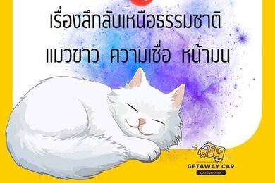 รถแห่ชวนเขียน Vol.3