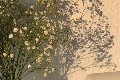 รวมนิยายแอบรัก ชช เจ็บ