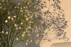 รวมนิยายแอบรัก ชช เจ็บ