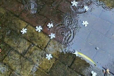 นิยายวาย ชช แนววเจ็บๆ