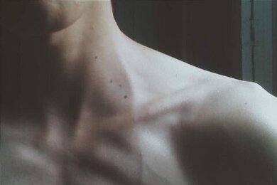 เมะลูกหมา (recommended by ซซ)