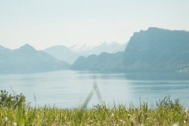 แนว slice of life / slow burn 💘🍀