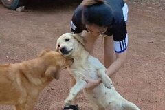 อ่านจบวันนี้เจ็บไปสามวันเจ็ดวัน