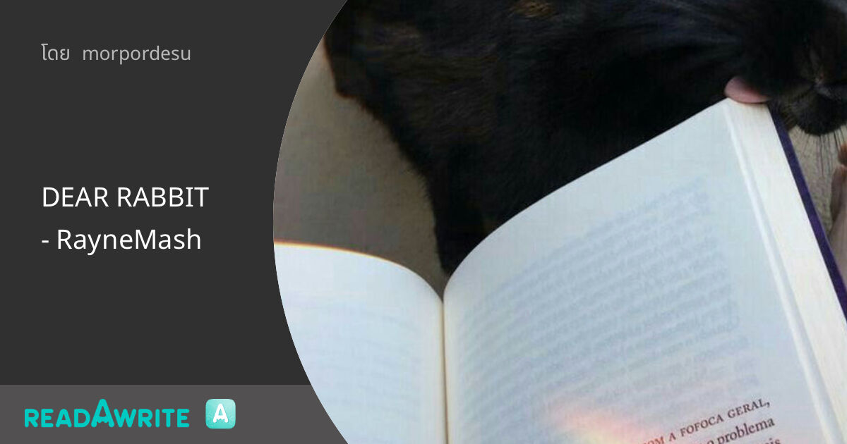Dear Rabit DEAR RABBIT - RayneMash: ฟิค Boy Love (บรรยาย)